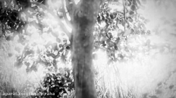 کارتون موشی شی - قسمت 16